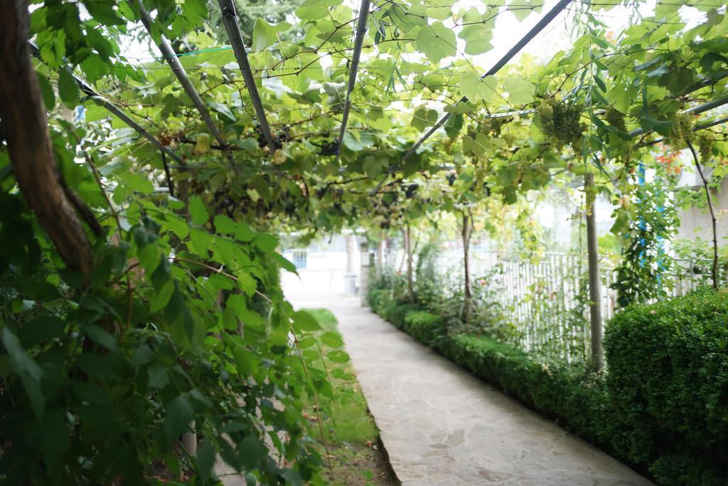 Guest House Barbov Obzor Buitenkant foto