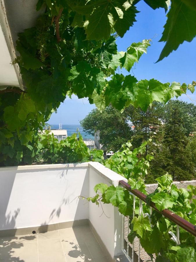 Guest House Barbov Obzor Buitenkant foto